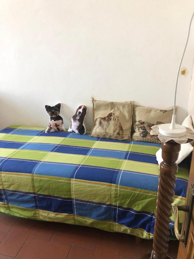 Solo Traveller Bedroom In Homestays City Center Floransa Dış mekan fotoğraf